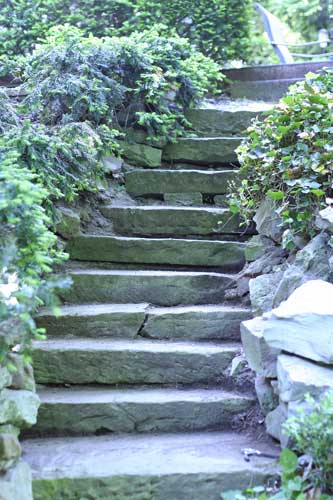 Stepsafterw