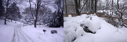 Snow