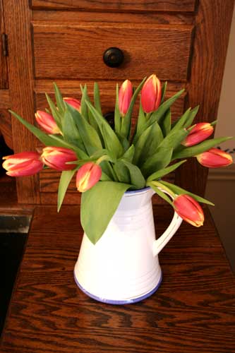 Tulipsw