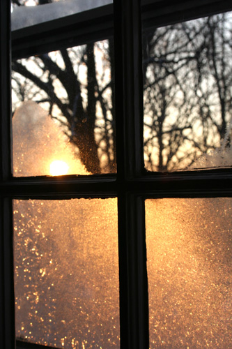 Frostywindow1w