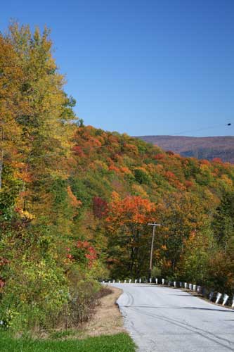Fallfoliage1w