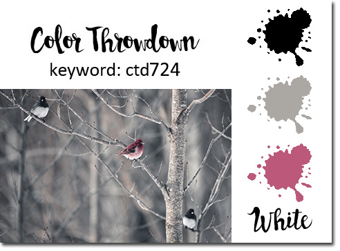 ColorThrowdown