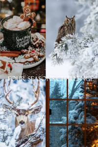 December Winter Mood Board