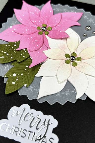 PInkWhitePoinsettiaClose