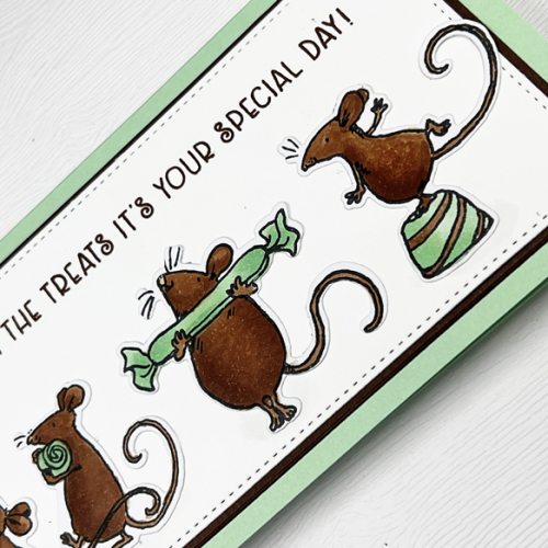 ChocolateMintClose1
