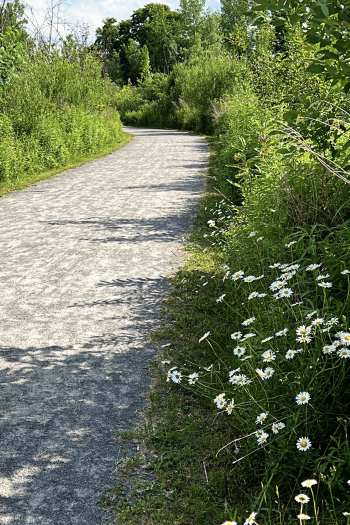 Path