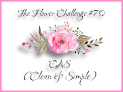 TFChallenge#70