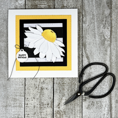 WhiteConeflower