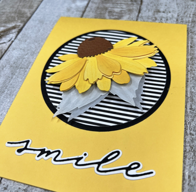 YellowConeflowerClose