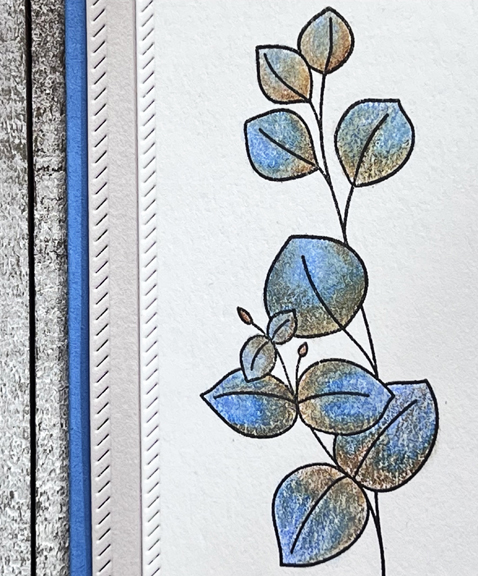 BlueTanClose