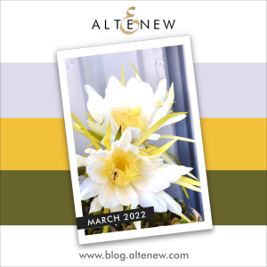 Inspiration-Challenge-2022-03-SQ-Opt-2