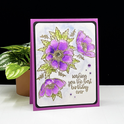 WatercolorAnemone