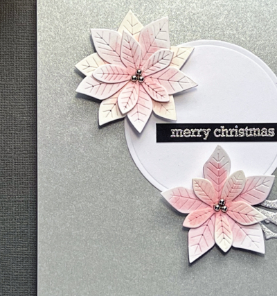 2PoinsettiasClose