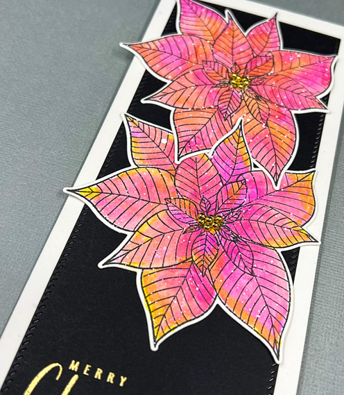 PoinsettiaSLClose2