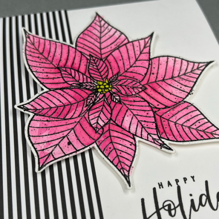 PoinsettiaHHClose2