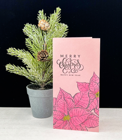 PinkPoinsettia