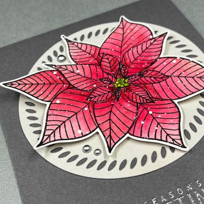 RedPoinsettiaClose