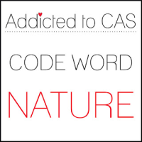 ATCAS