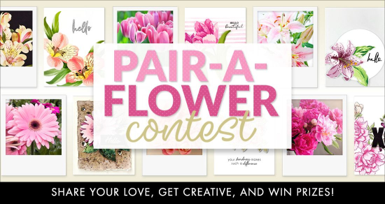 Contest