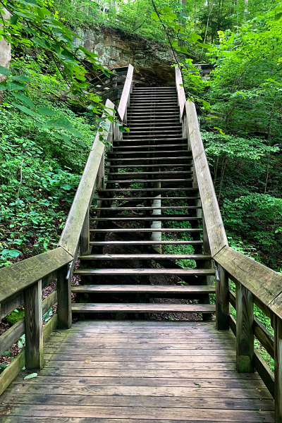 Steps