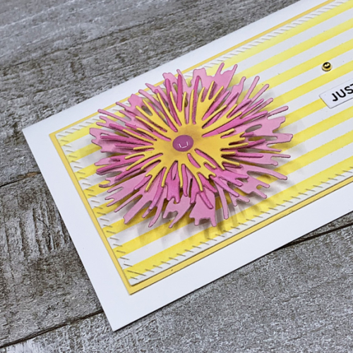 YellowPinkClose