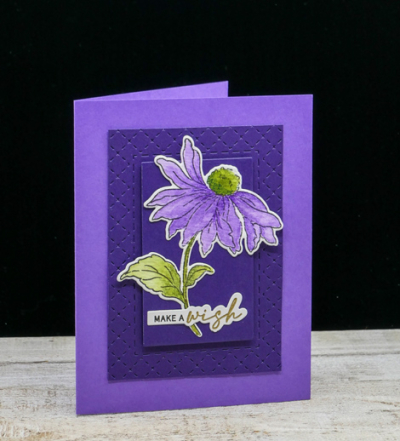 PurpleConeflower