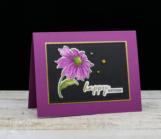 MagentaConeflower