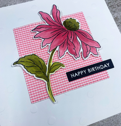 PinkConeflowerClose