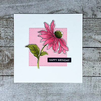 PinkConeflowerFlat