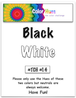 CHBlackWhite#14 