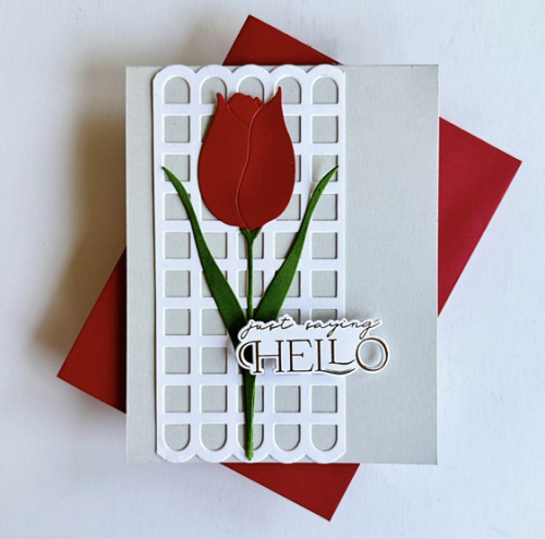 Tulip