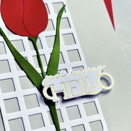 TulipClose