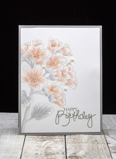 SoftFlorals