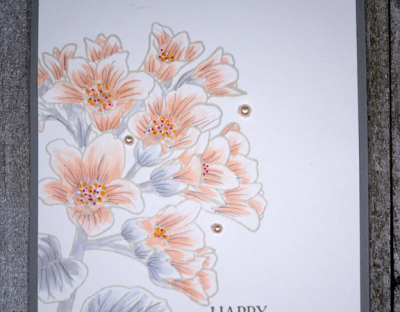 SoftFloralsClose