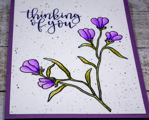 PurpleFlowersClose