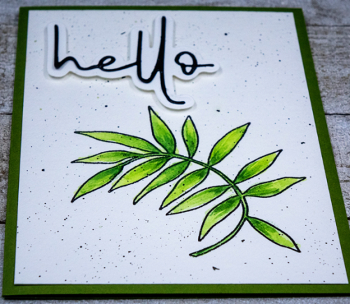 HelloLeafClose