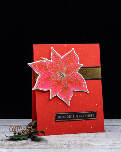 RedGoldPoinsettia