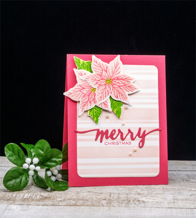 PinkPoinsettia