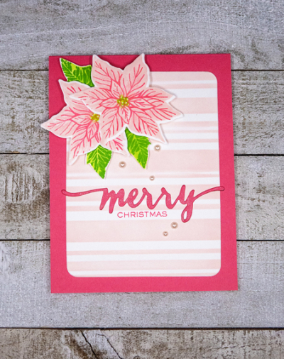 PinkPoinsettiaFlat