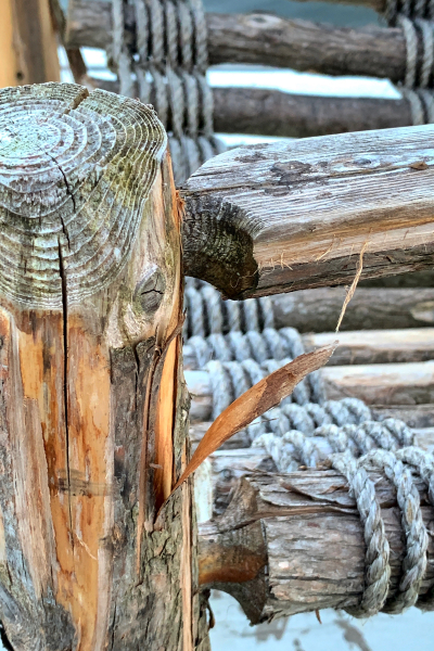 Texture1