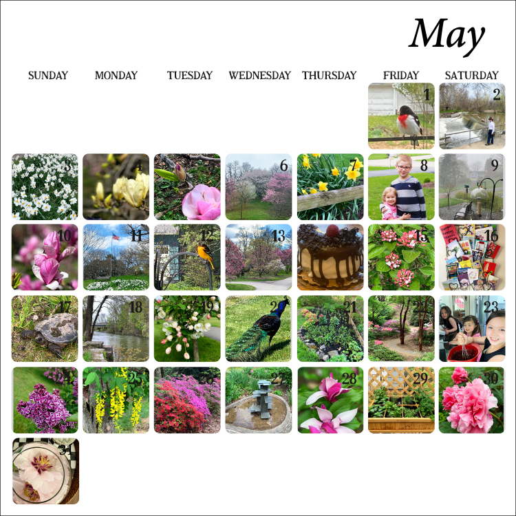 MayPhotoCollage