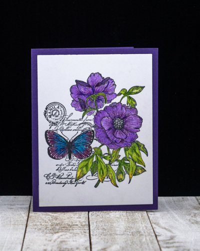 Purpleflowers