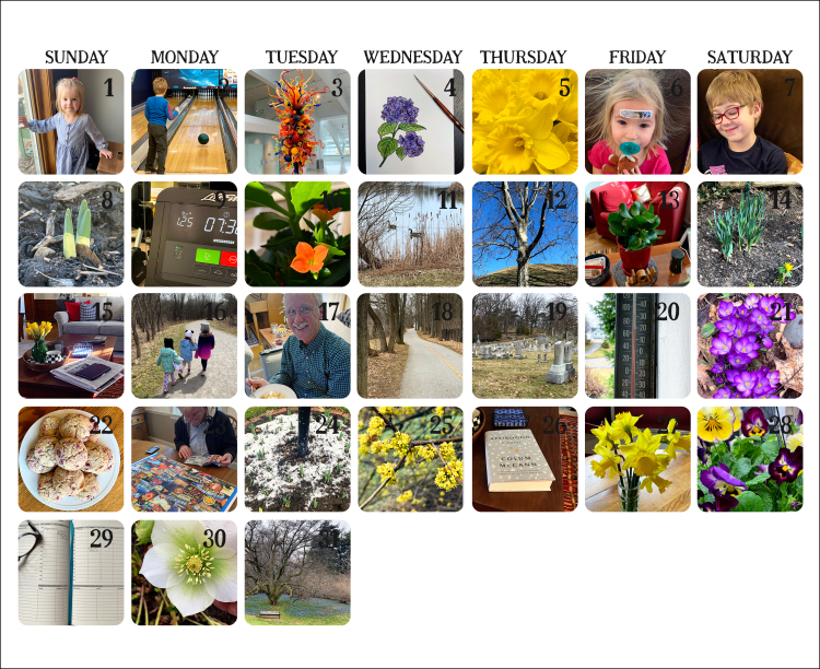 MarchPhotoADay