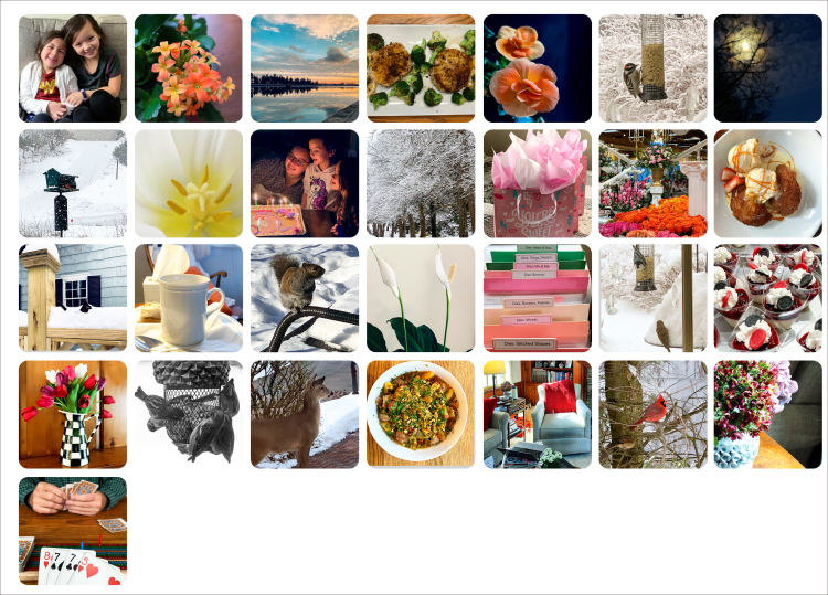 FebruaryPhotoaDay