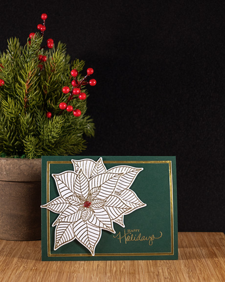 2WhitePoinsettia
