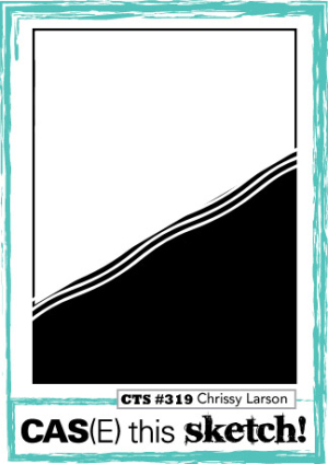 CTS_319