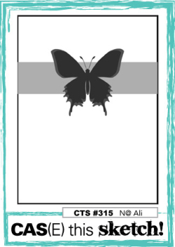CTS_315