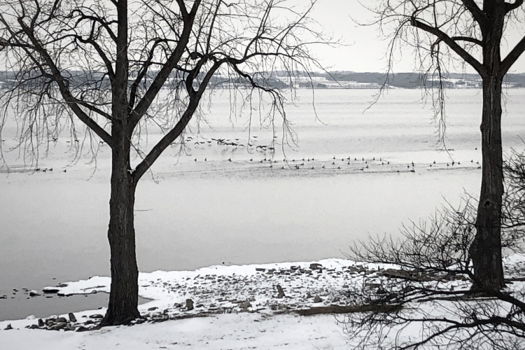 IMG_1454edBW