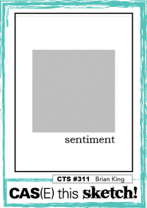 CTS_311