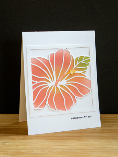 Hibiscus